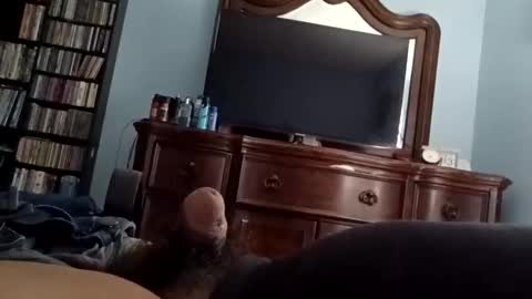 12345marihtc online show from October 20, 2025, 12:33 am