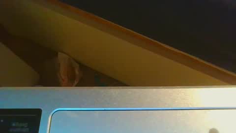 Snapshot of 1lovenaturals chatting on December 15, 2024, 8:58 pm Jason online show from December 15, 2024, 8:58 pm