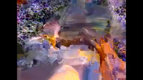MED online show from March 8, 2026, 9:29 pm