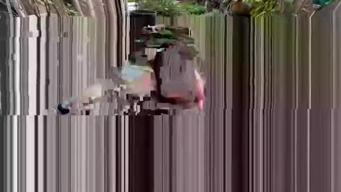 BiHungThickCock69 online show from March 2, 2026, 9:32 pm