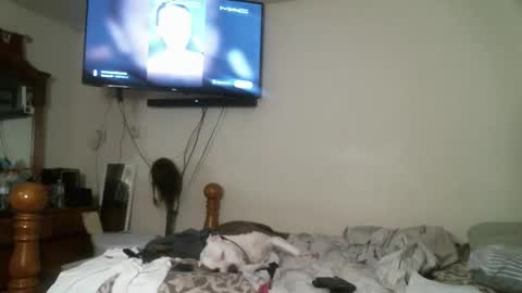 247dic online show from April 28, 2026, 6:29 am