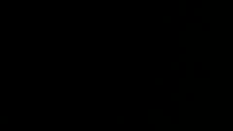 2freaky954 online show from April 23, 2026, 8:46 am