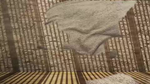 2hairrypigs online show from January 31, 2026, 7:23 pm