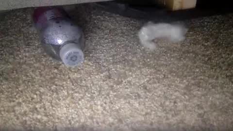 30nick online show from February 10, 2026, 4:16 am