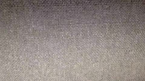 30nick online show from February 12, 2026, 7:25 am