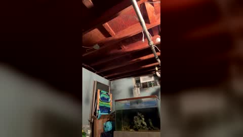 33adidas online show from March 27, 2026, 8:26 am