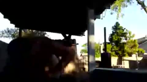 420dick420707 online show from March 19, 2026, 1:20 am