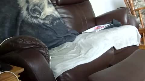 66bear online show from December 14, 2025, 3:28 pm