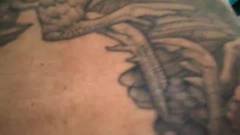 6990fiko online show from December 3, 2024, 2:05 pm