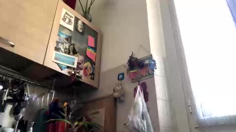 6990fiko online show from March 4, 2025, 12:55 pm