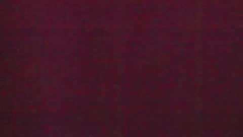 Snapshot of 777_brendi_777 chatting on January 31, 2025, 7:50 am Brendi online show from January 31, 2025, 7:50 am