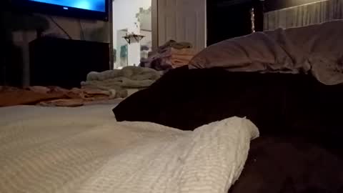 7lairddip online show from March 30, 2026, 6:36 am