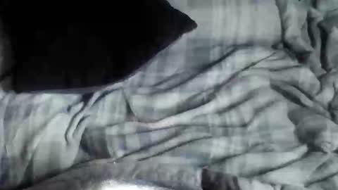 8675309r2d2 online show from September 26, 2025, 3:54 am