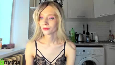 Gaylord online show from January 28, 2025, 12:00 pm