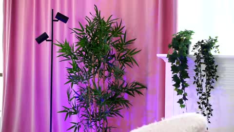 Arielle online show from December 19, 2024, 1:07 pm