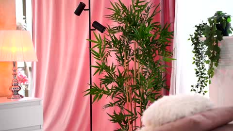 Arielle online show from February 7, 2025, 9:37 am