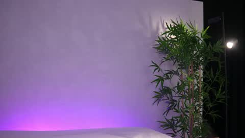 Snapshot of _arielle chatting on March 20, 2026, 8:08 am Arielle online show from March 20, 2026, 8:08 am