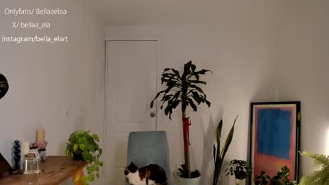 Ella  online show from December 10, 2024, 12:50 am