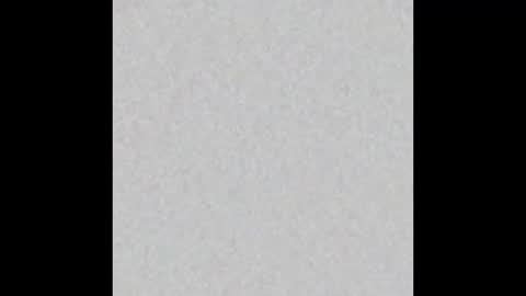 Brenda online show from February 19, 2025, 12:33 pm