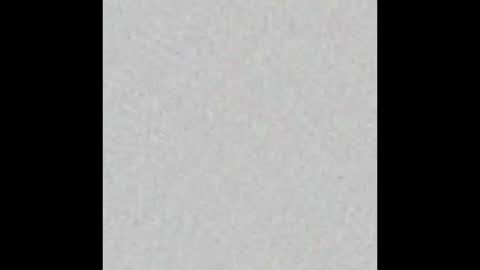 Brenda online show from November 13, 2025, 11:42 am