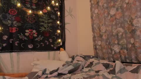 Caroline online show from December 13, 2024, 12:39 pm