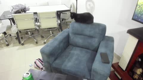 Emma online show from January 17, 2025, 1:15 am