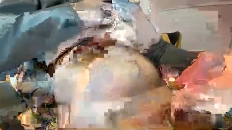 Snapshot of _ginger_boy chatting on February 9, 2025, 10:20 am Ginger boy online show from February 9, 2025, 10:20 am