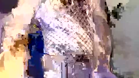  incocknito  online show from December 16, 2025, 5:40 pm