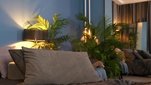 FANSLY ---   anal in private 700 tokens online show from November 1, 2025, 11:29 pm