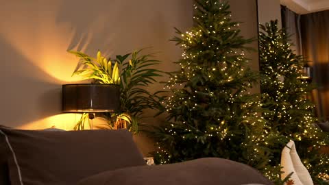 FANSLY ---   anal in private 700 tokens online show from November 30, 2025, 6:12 pm