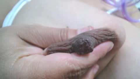  Mia  online show from March 7, 2025, 7:27 pm