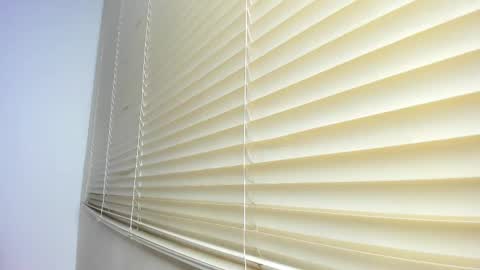 _molly_rosse_ online show from November 12, 2025, 11:54 am