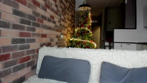 Ruby online show from January 14, 2026, 1:50 pm