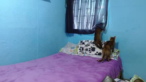 Sammy online show from February 26, 2025, 6:21 pm