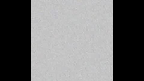 _tammarra_ online show from January 10, 2026, 12:29 pm