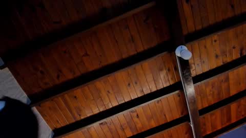 Valery online show from October 28, 2025, 3:21 am