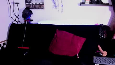 ZARA online show from April 21, 2026, 10:43 am