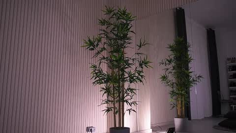 Alexa online show from January 23, 2025, 9:39 am