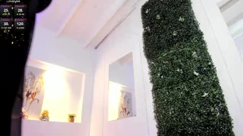 Abby  online show from February 11, 2025, 6:51 am