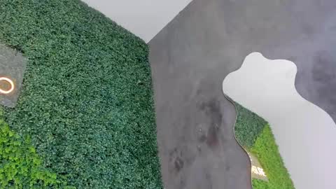 A B B Y online show from February 12, 2025, 6:19 pm