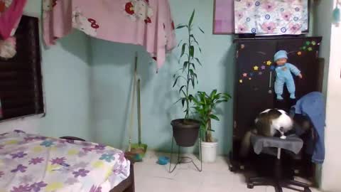 Abby online show from February 3, 2025, 12:36 am