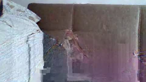 abdil_34 online show from February 5, 2025, 9:18 pm