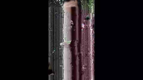 abdulwaris7072 online show from March 15, 2026, 6:41 am