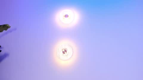 Snapshot of abi_ryder chatting on September 27, 2025, 2:05 am Abi online show from September 27, 2025, 2:05 am