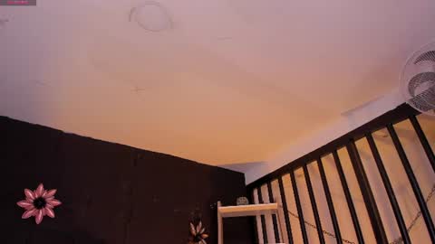 abi_sexxx1 online show from July 2, 2026, 4:29 am