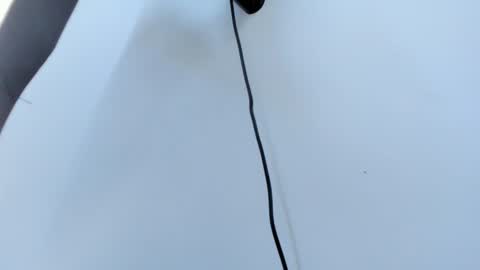 Abigail online show from October 18, 2025, 11:11 am