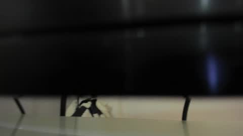 Snapshot of abril_777 chatting on February 22, 2026, 7:56 pm Abril 777 online show from February 22, 2026, 7:56 pm