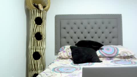 eva online show from January 15, 2025, 12:09 am