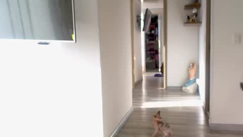 eva online show from September 10, 2025, 12:16 pm