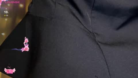 Snapshot of adel_evans chatting on February 27, 2026, 11:05 pm Adele online show from February 27, 2026, 11:05 pm